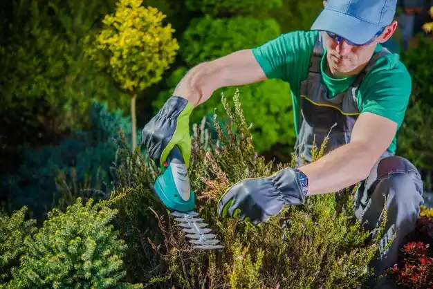 landscaping services North Hampton